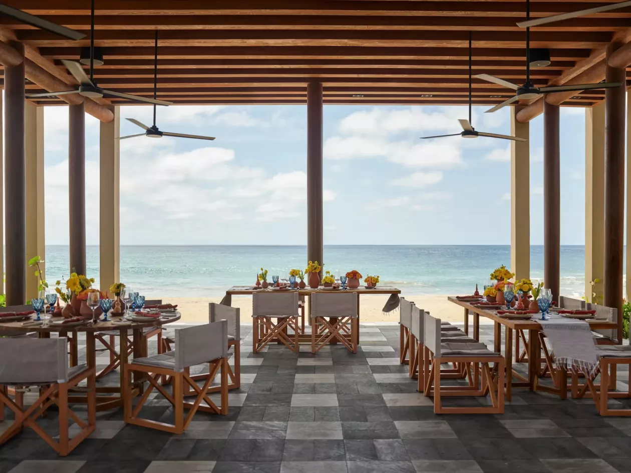 02 Rosewood Mandarina