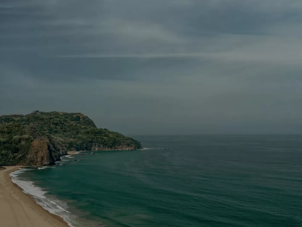 03 Rosewood Mandarina