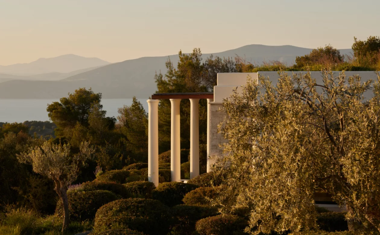 03 Amanzoe