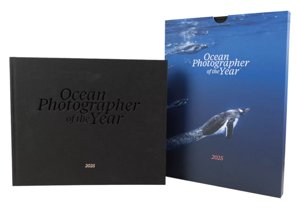 01 THE 2025 PENGUIN EDITION