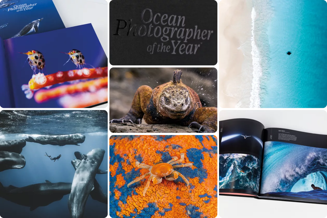 02 THE 2025 PENGUIN EDITION