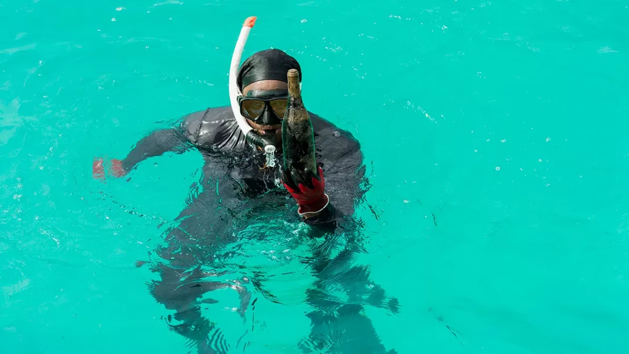 02 ROSEWOOD LITTLE DIX BAY THE WORLD S FIRST UNDERWATER WINE CELLAR