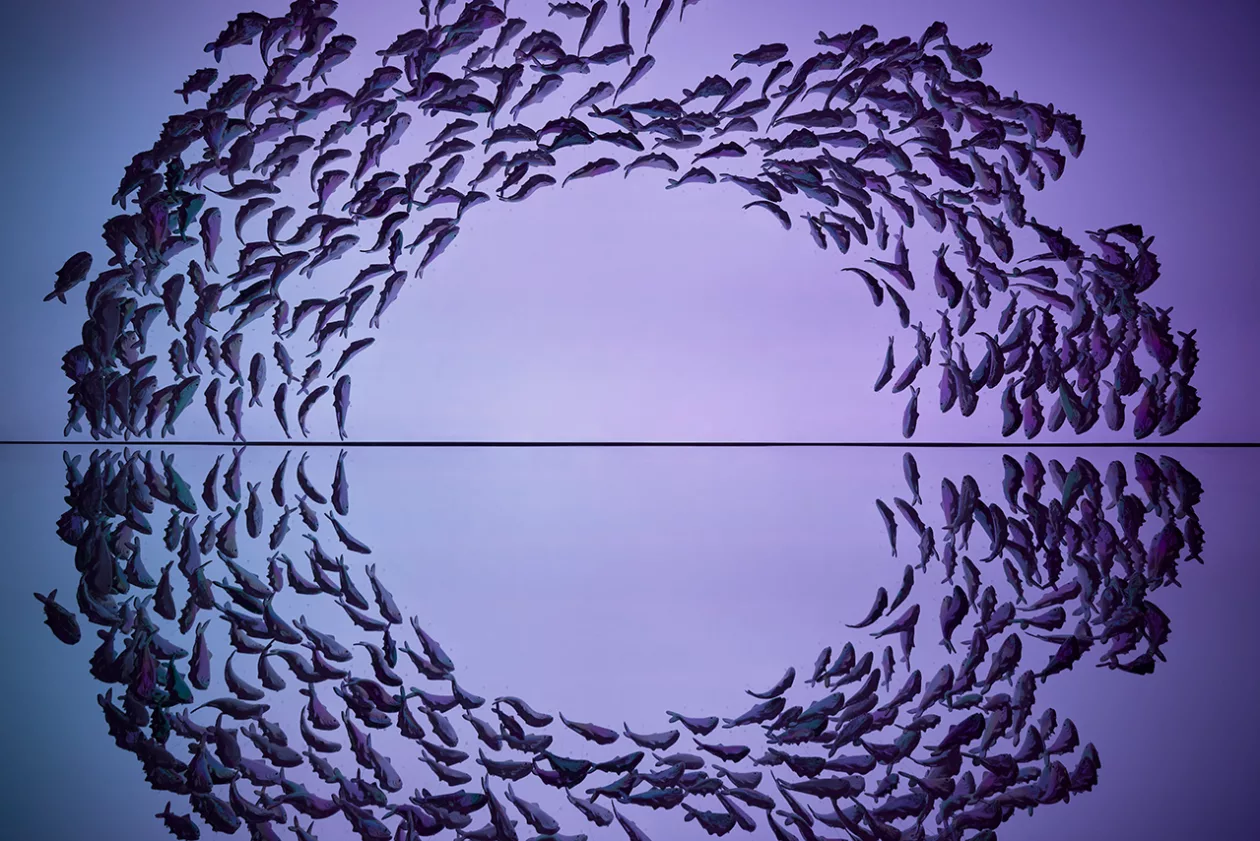 02 KOHLER X HARRY NURIEV THE PEARLIZED FINISH DEBUT