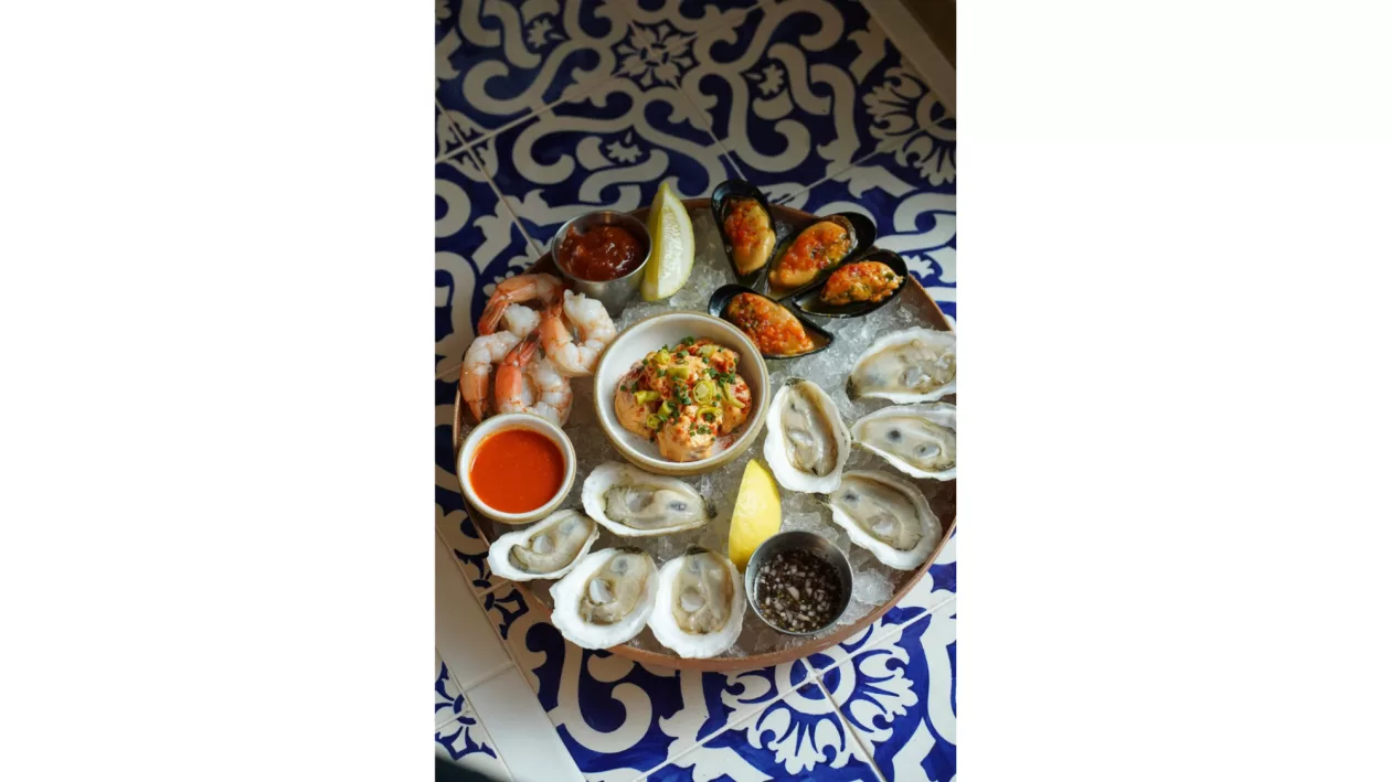 01 DOURO PORTUGUESE SOUL MEETS THE MAINE COASTLINE