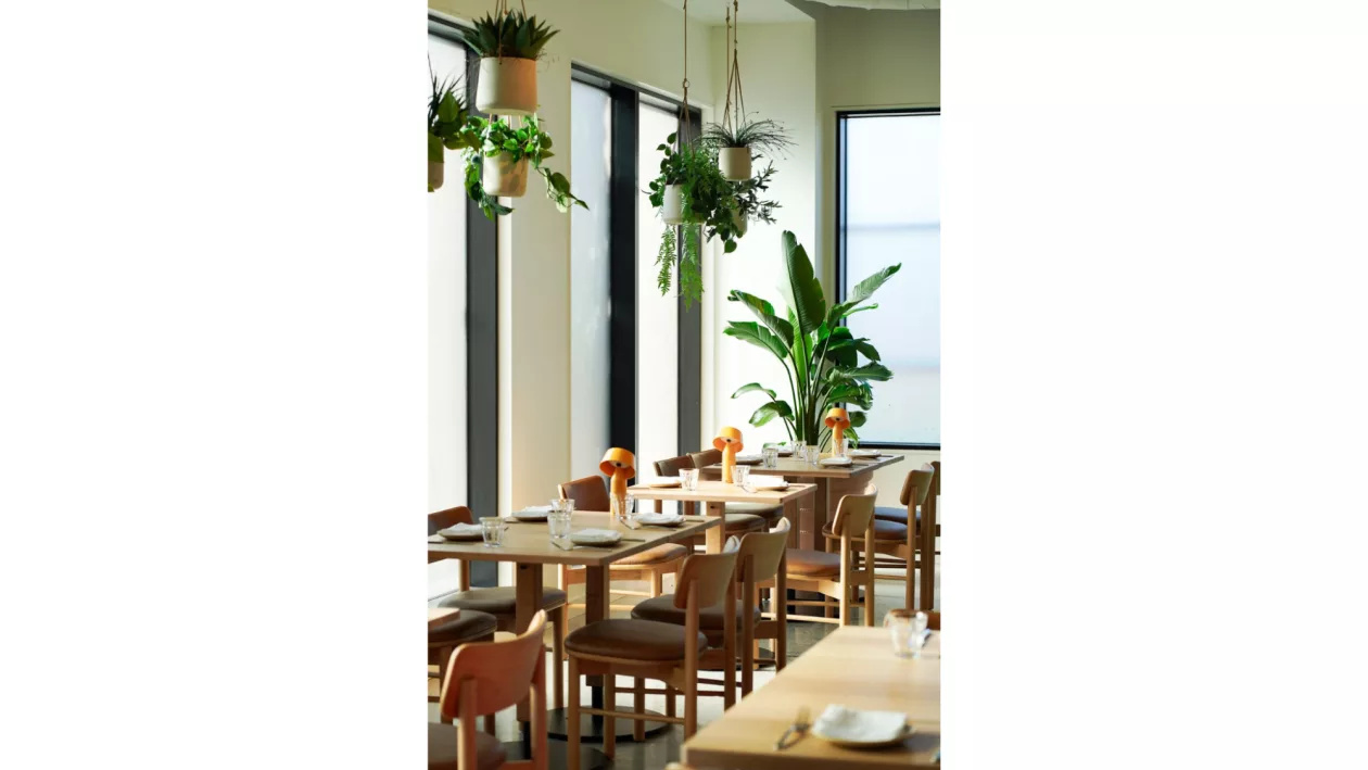 02 DOURO PORTUGUESE SOUL MEETS THE MAINE COASTLINE