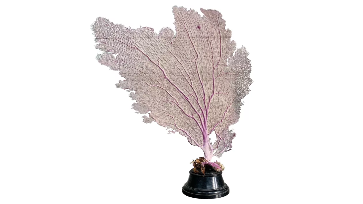 02 Serene Shorelines