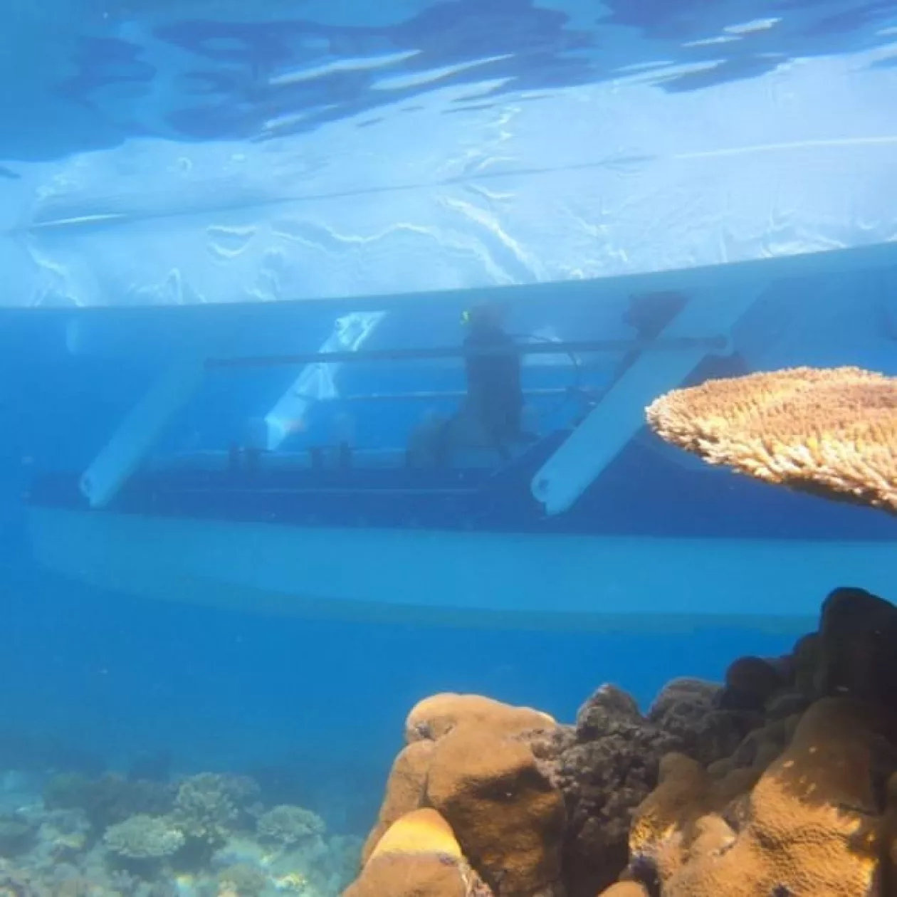 Platypus Underwater e1583853356312 660x660 Supremarine8