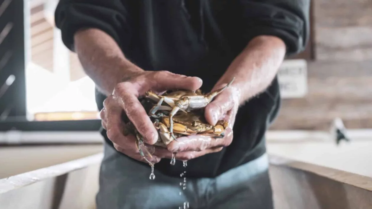 4 HUDSON S ON THE DOCKS