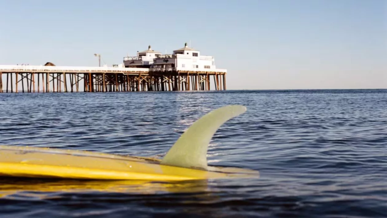 3 THE SURFRIDER MALIBU