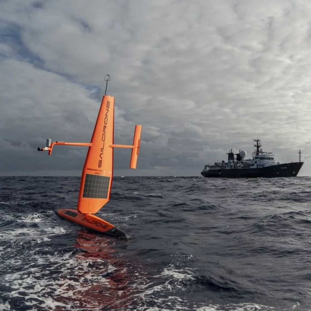 Saildrone04