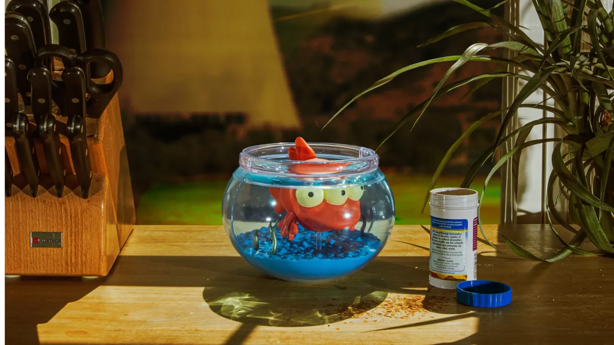 2 Blinky in Fish Bowl