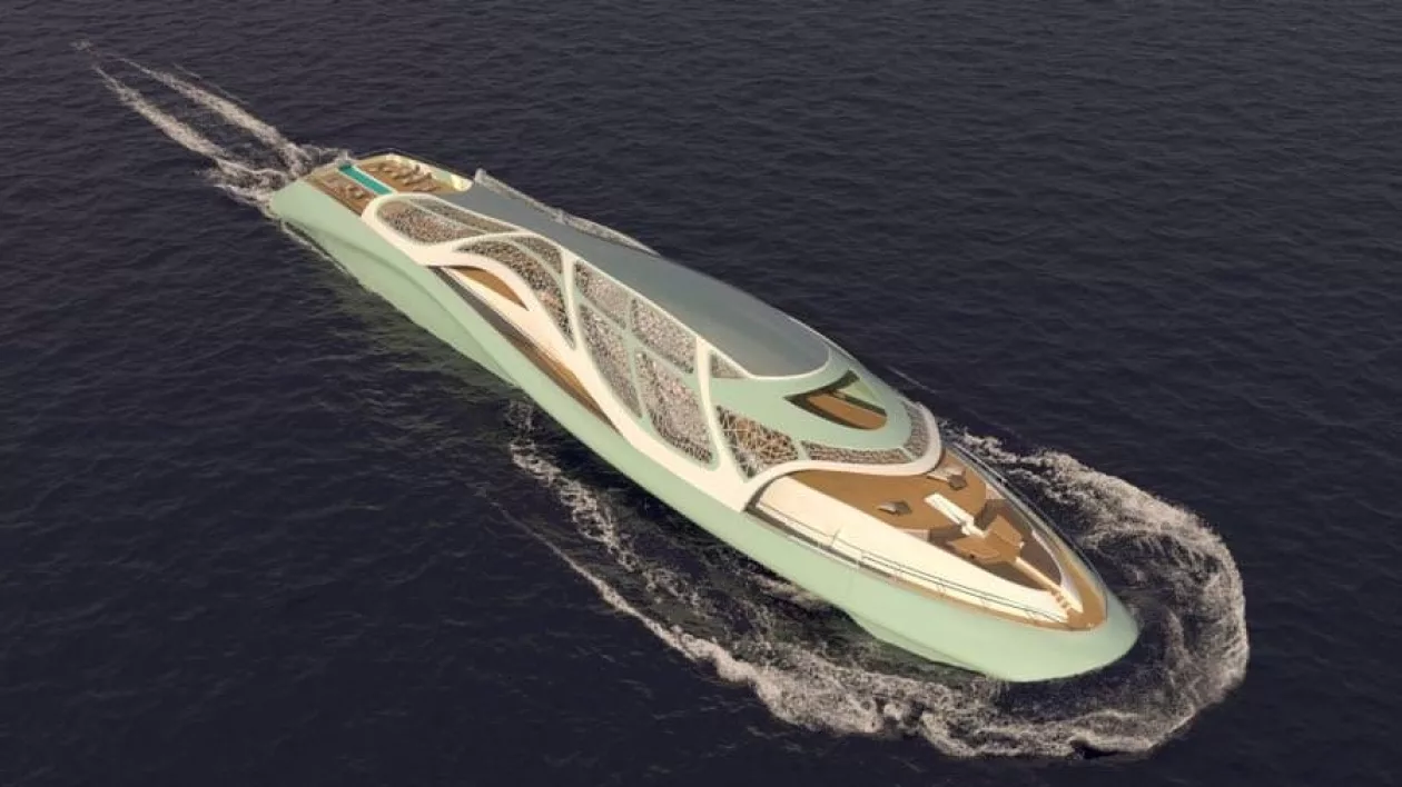 Carapace yacht02