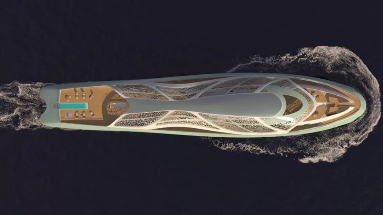Carapace yacht03
