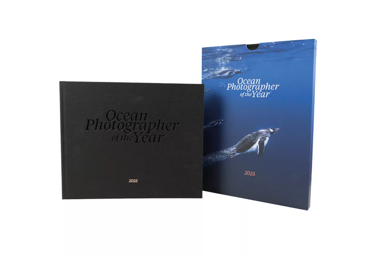 1 Ocean Photographer of the Year Edition 2025 Penguin Cover