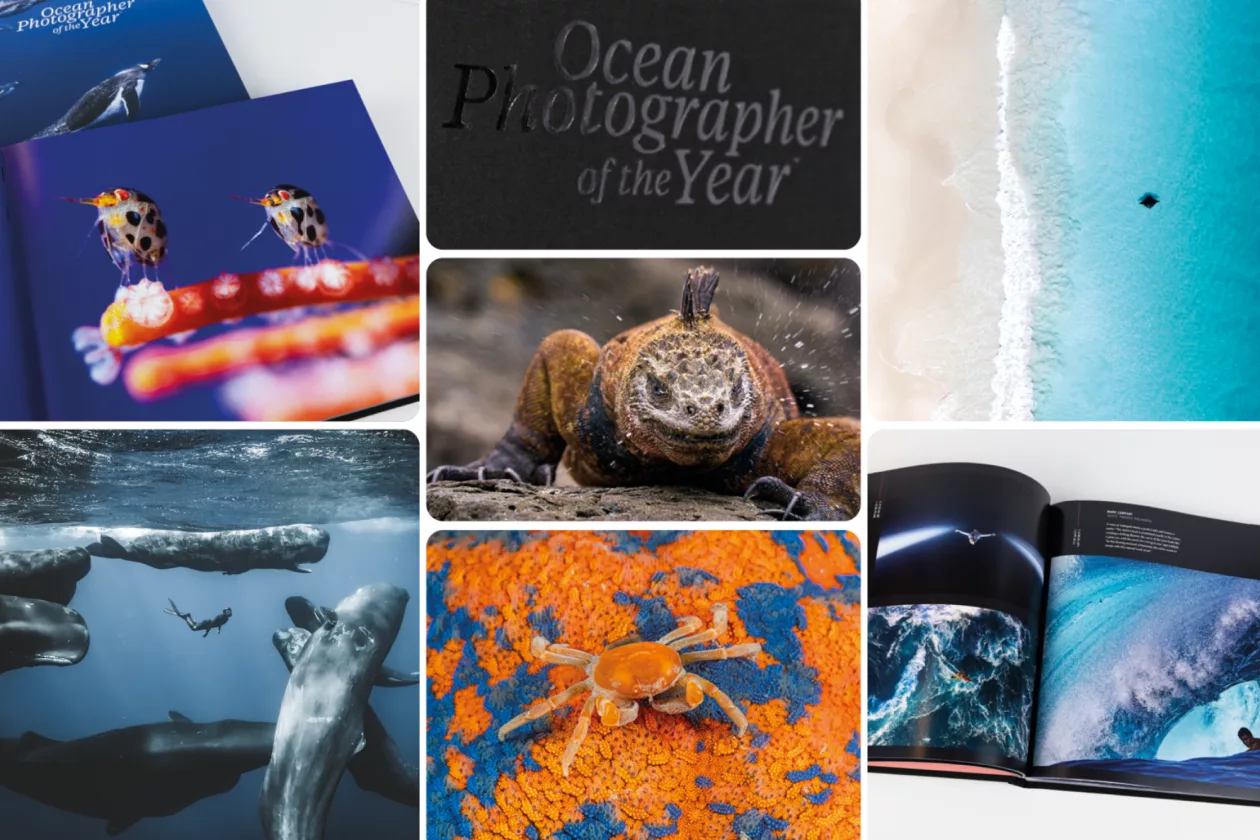 3 Ocean Photographer of the Year Edition 2025 Penguin Cover