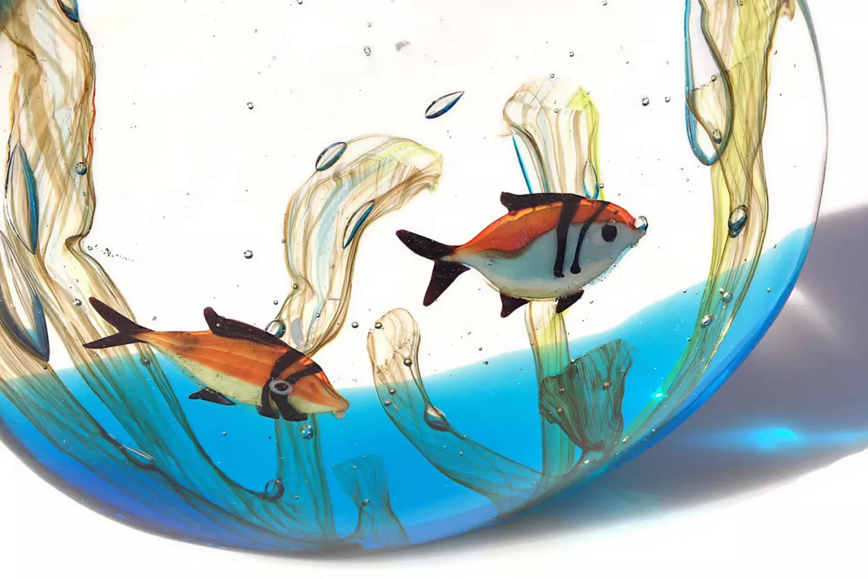 6 MOECA Charming tropical aquarium for decor