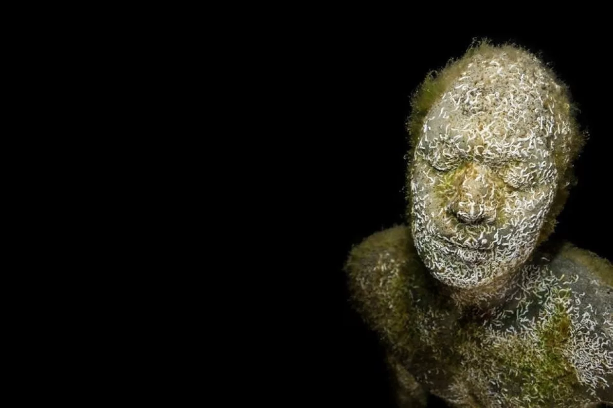 Museo Atlantico Lanzarote growth night 00990 extended Jason de Caires Taylor Sculpture