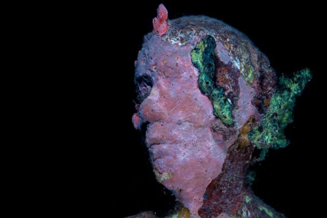 Vicissitudes Grenada