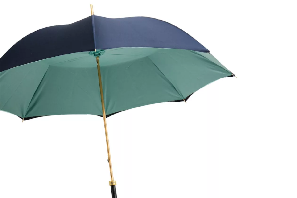 7 Pasotti Seahorse Umbrella