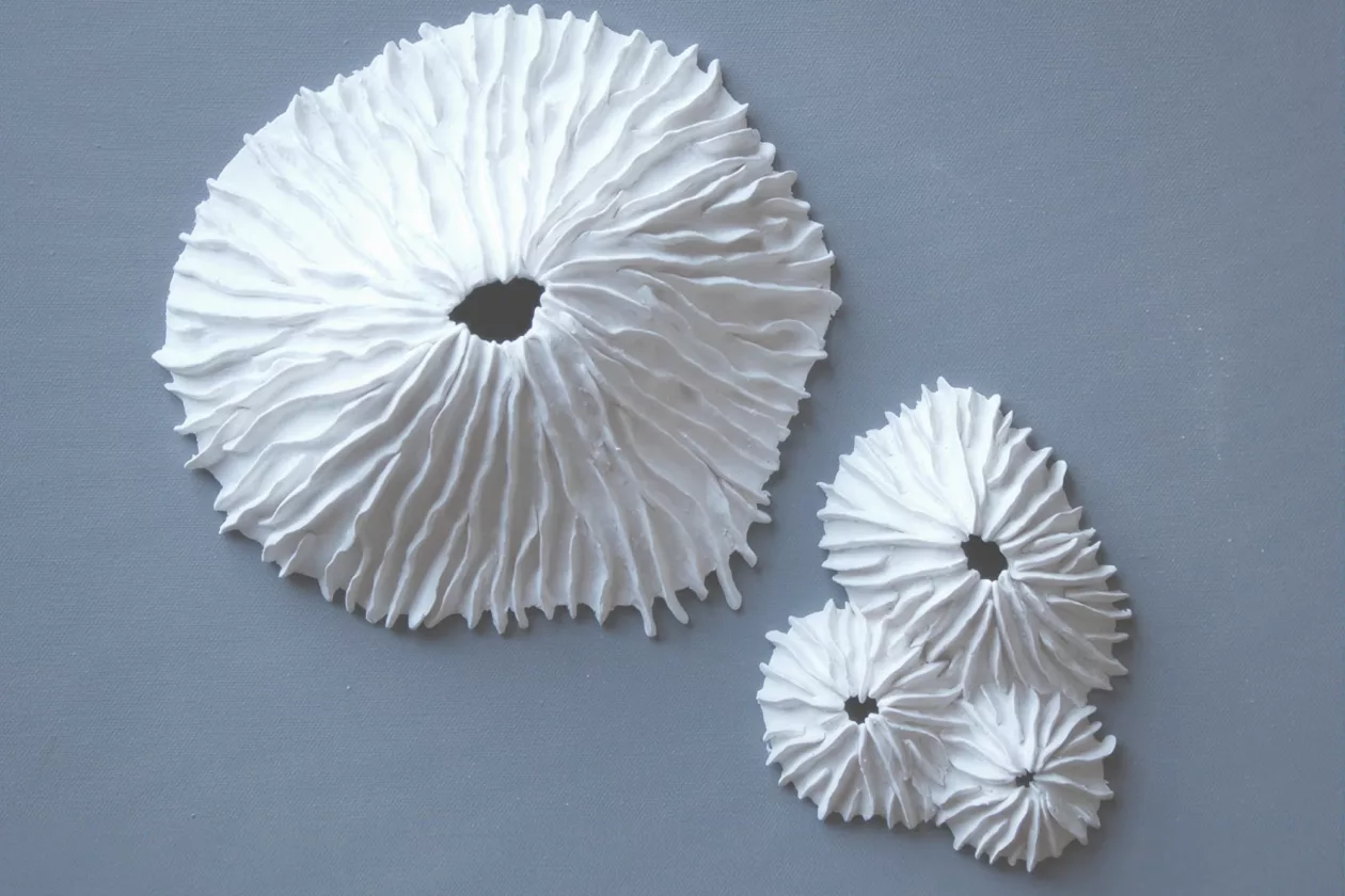 7 Limpet Wall Sculpture Set