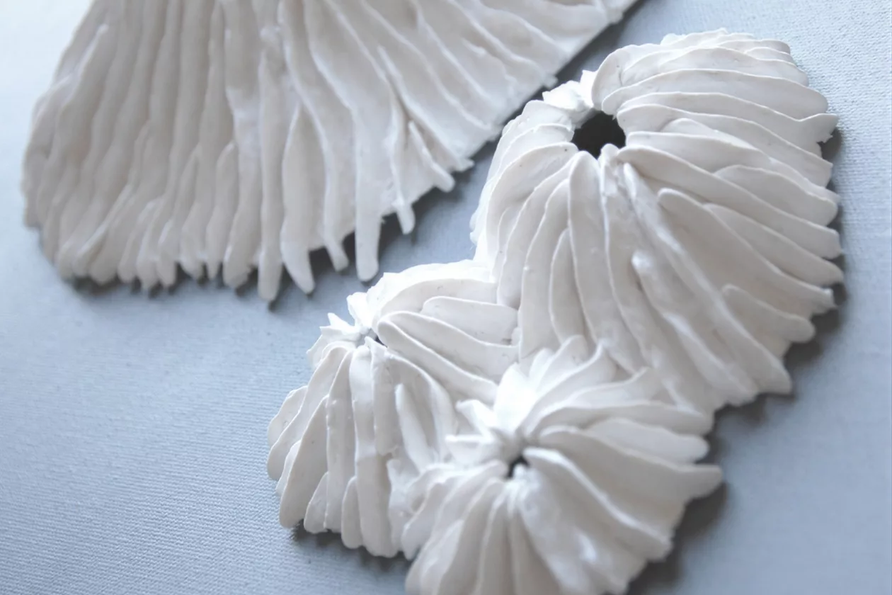 6 Limpet Wall Sculpture Set