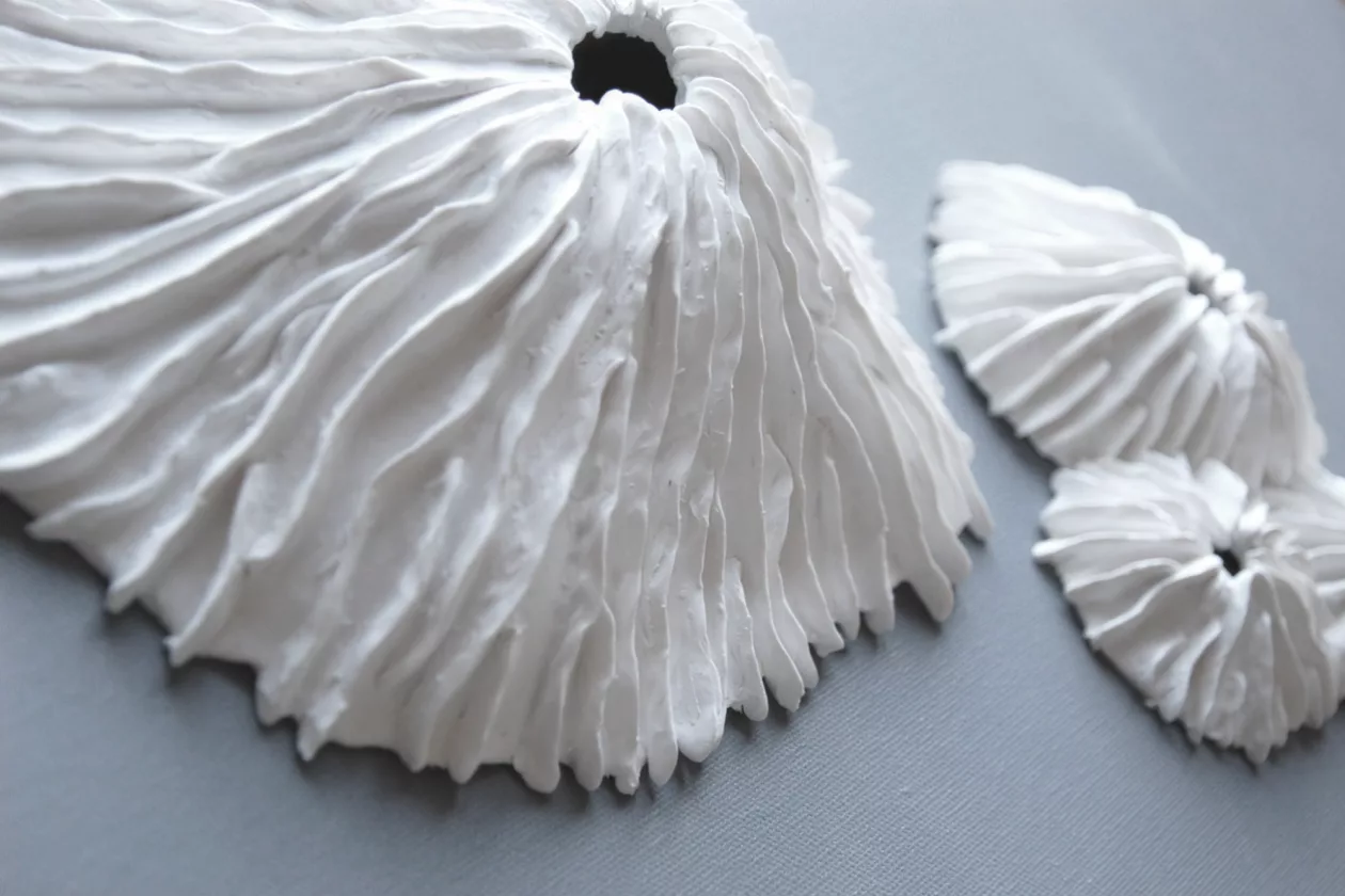 5 Limpet Wall Sculpture Set