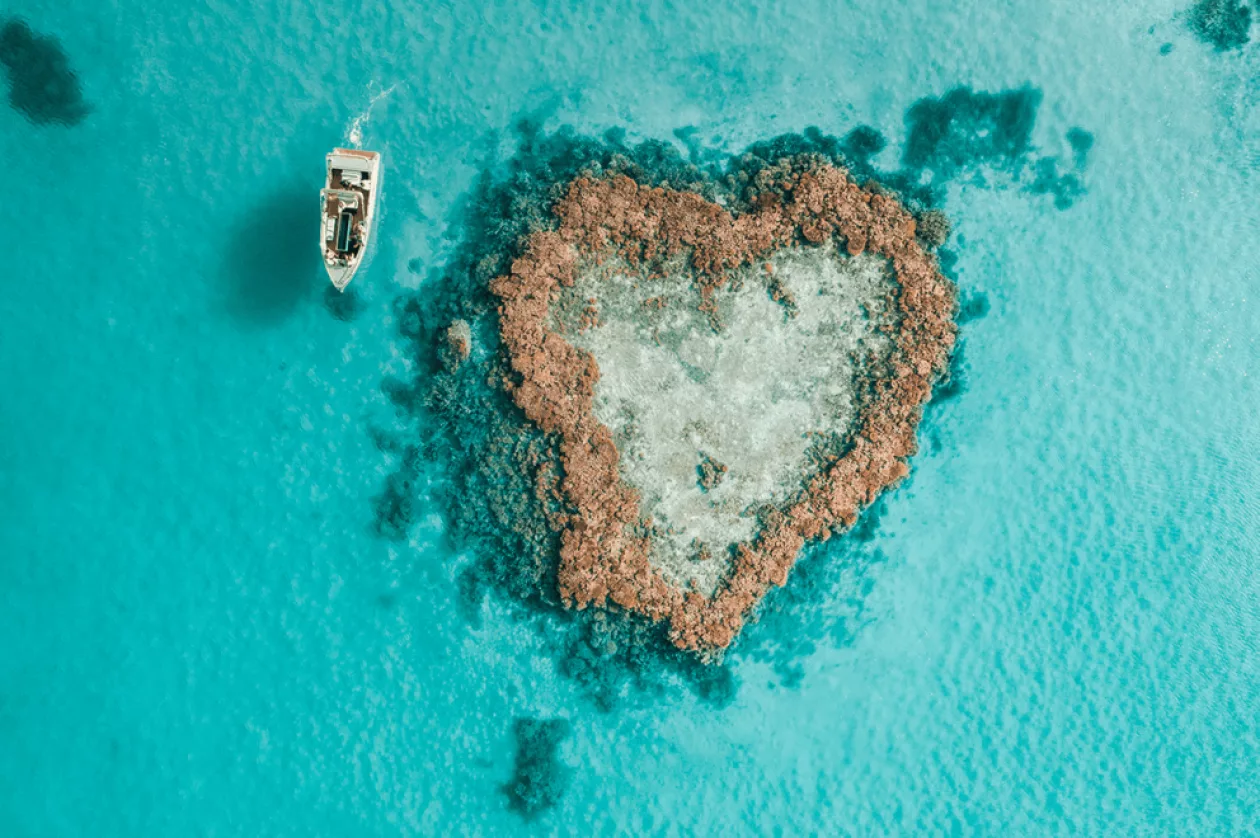 Heart reef04