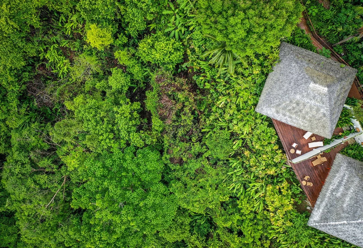 Lapa Rios Eco Lodge 1