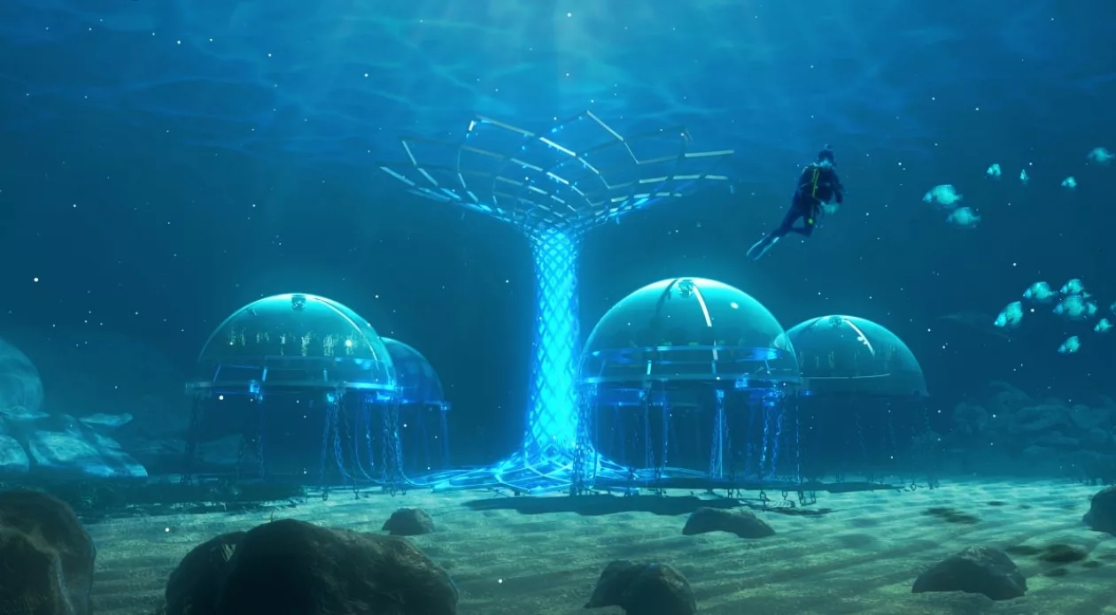 Nemos garden02