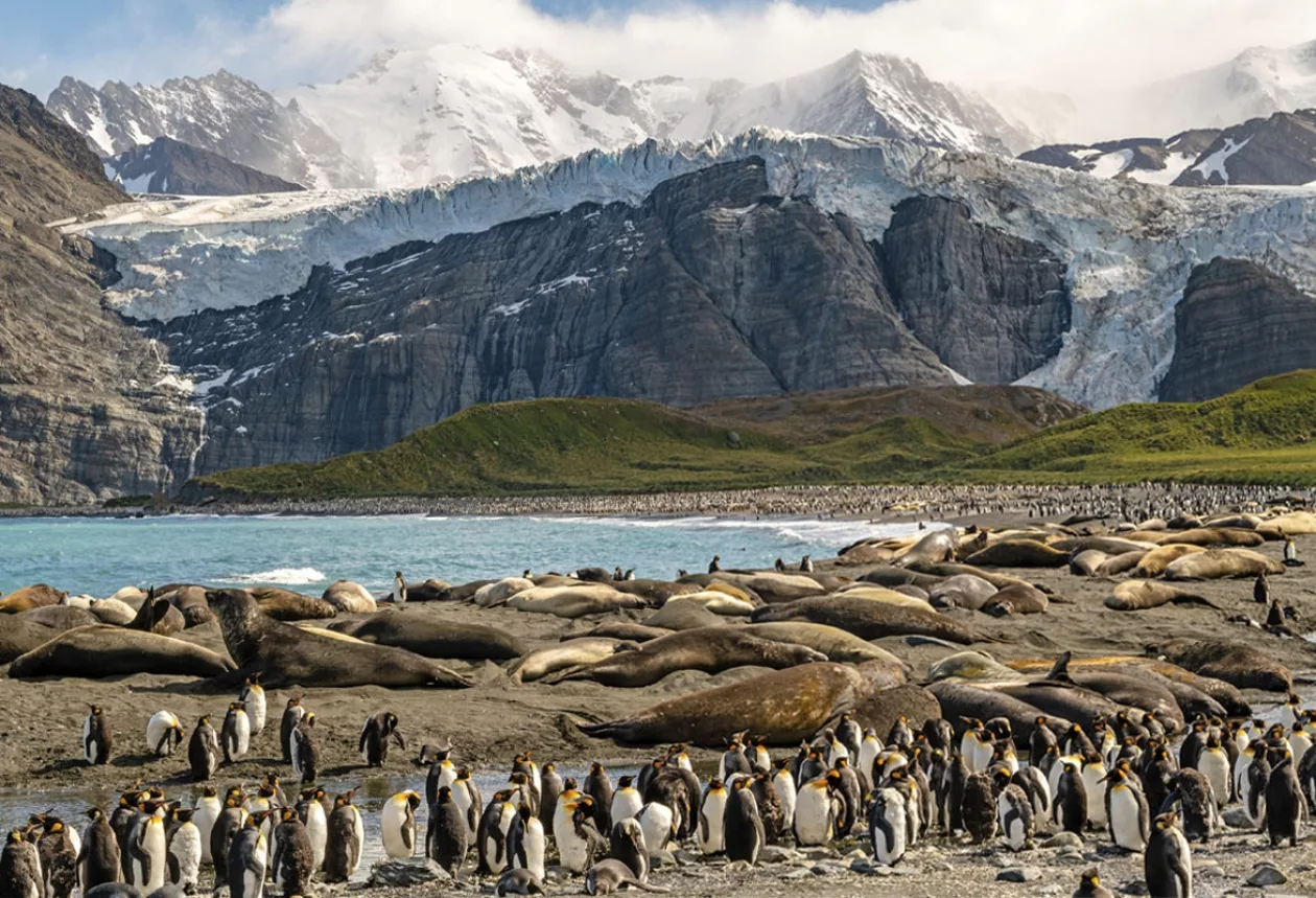 Scenic Eclipse Antarctica Voyage 3