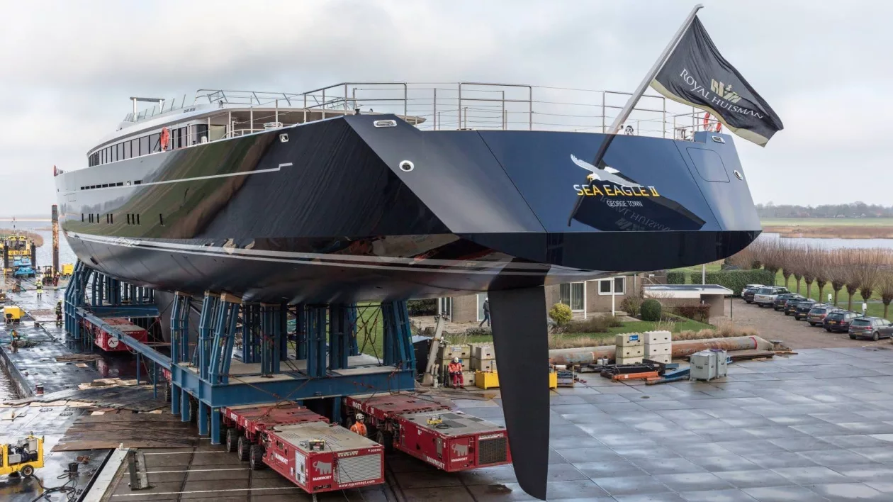 Sea eagle02
