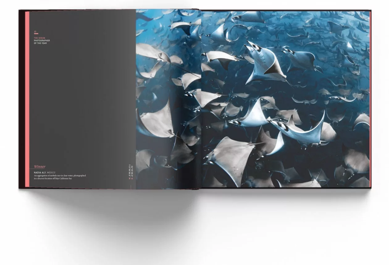 The Ocean Photography Awards Volume 1 4