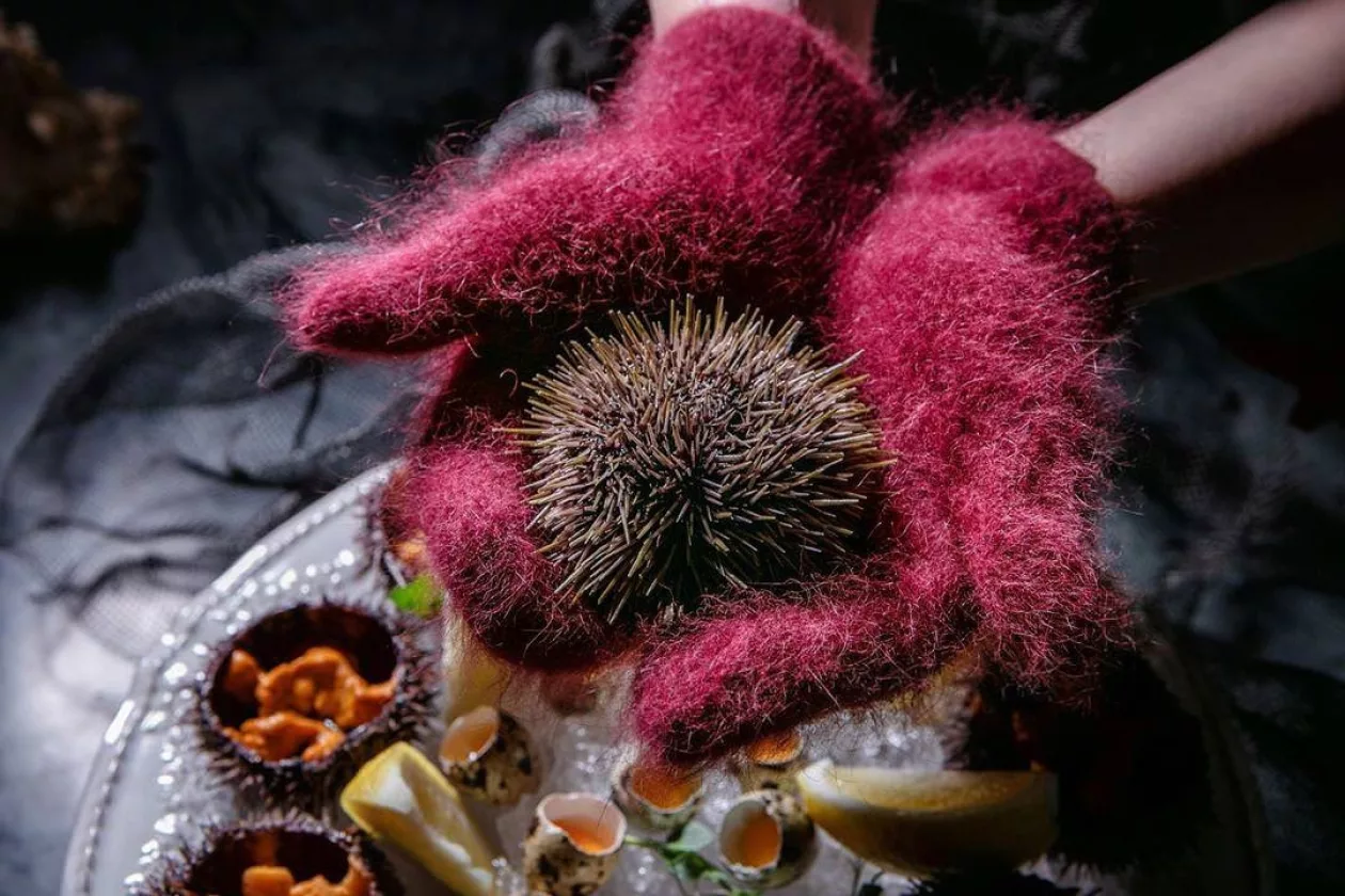 Seafood06