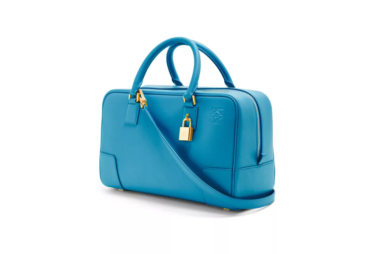 Amazona 28 bag in nappa calfskin 3