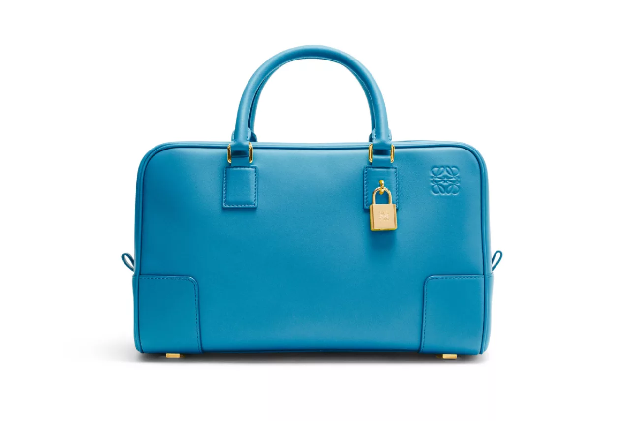 Amazona 28 bag in nappa calfskin 4