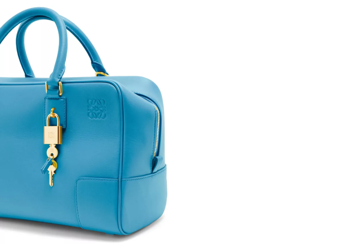 Amazona 28 bag in nappa calfskin 5