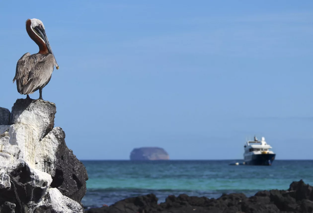 Galapagos Luxury Expeditions 1