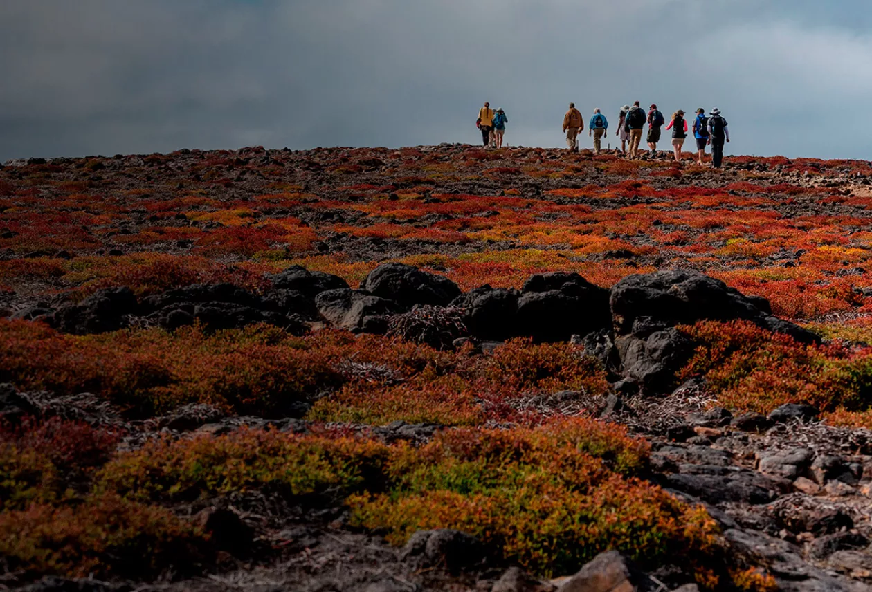 Galapagos Luxury Expeditions 2