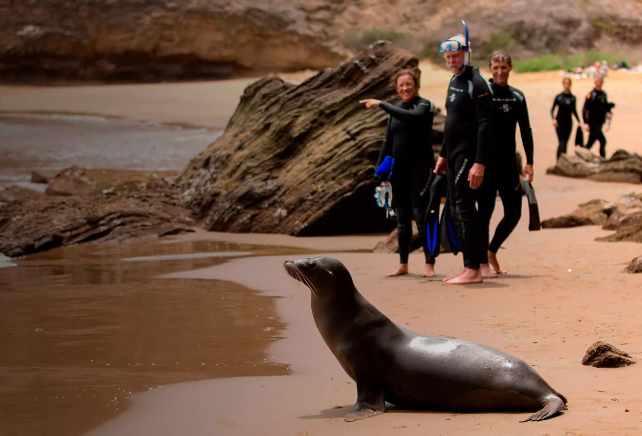 Galapagos Luxury Expeditions 6