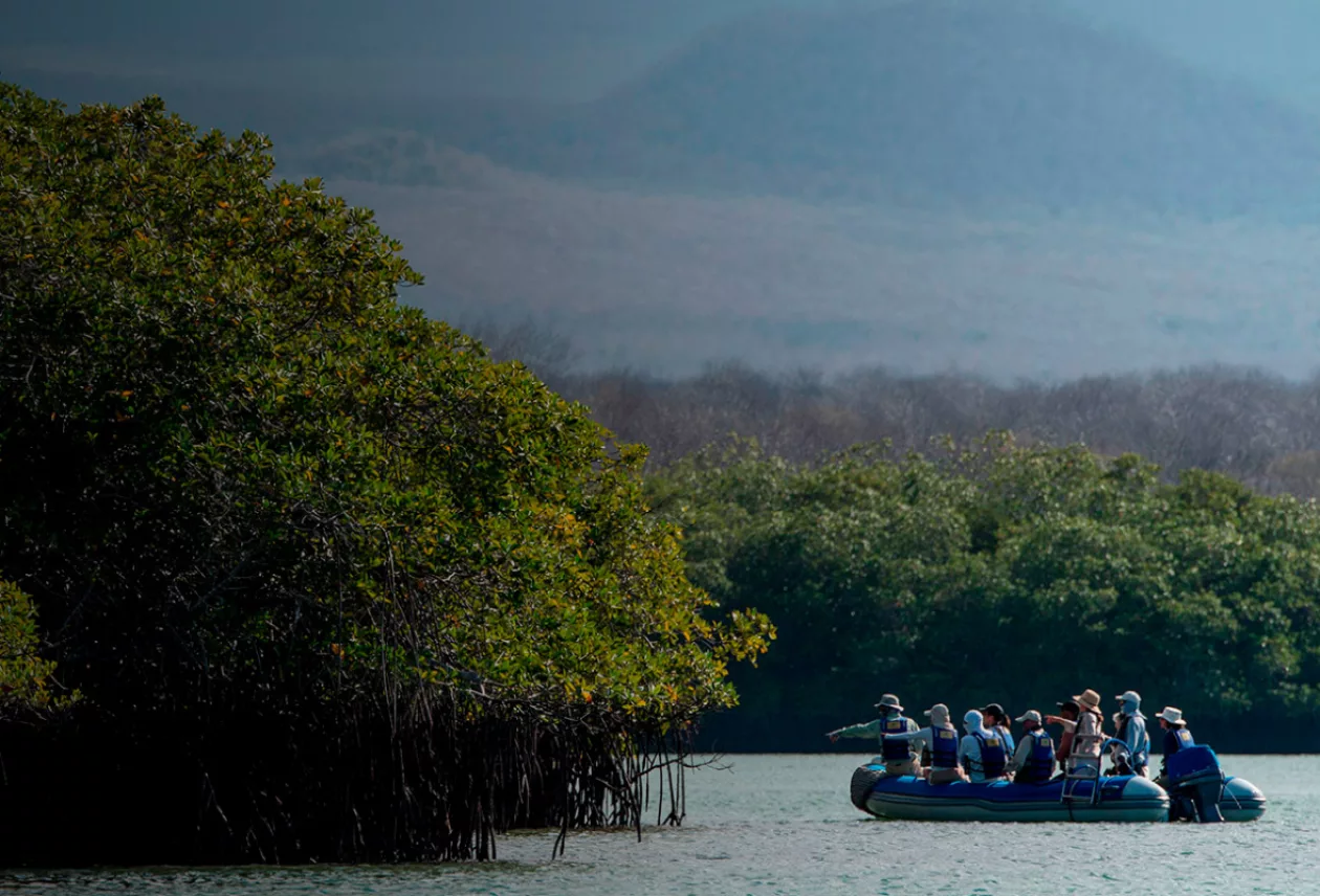 Galapagos Luxury Expeditions 8