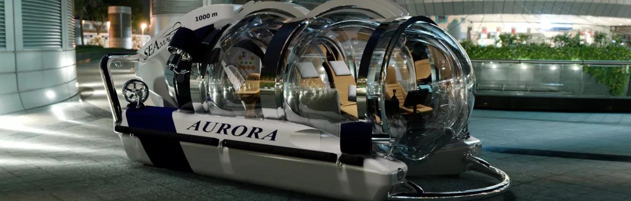Aurora sub03