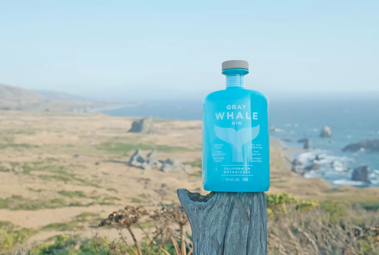 GRAY WHALE GIN 3