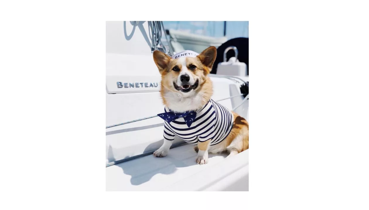 Beneteau2