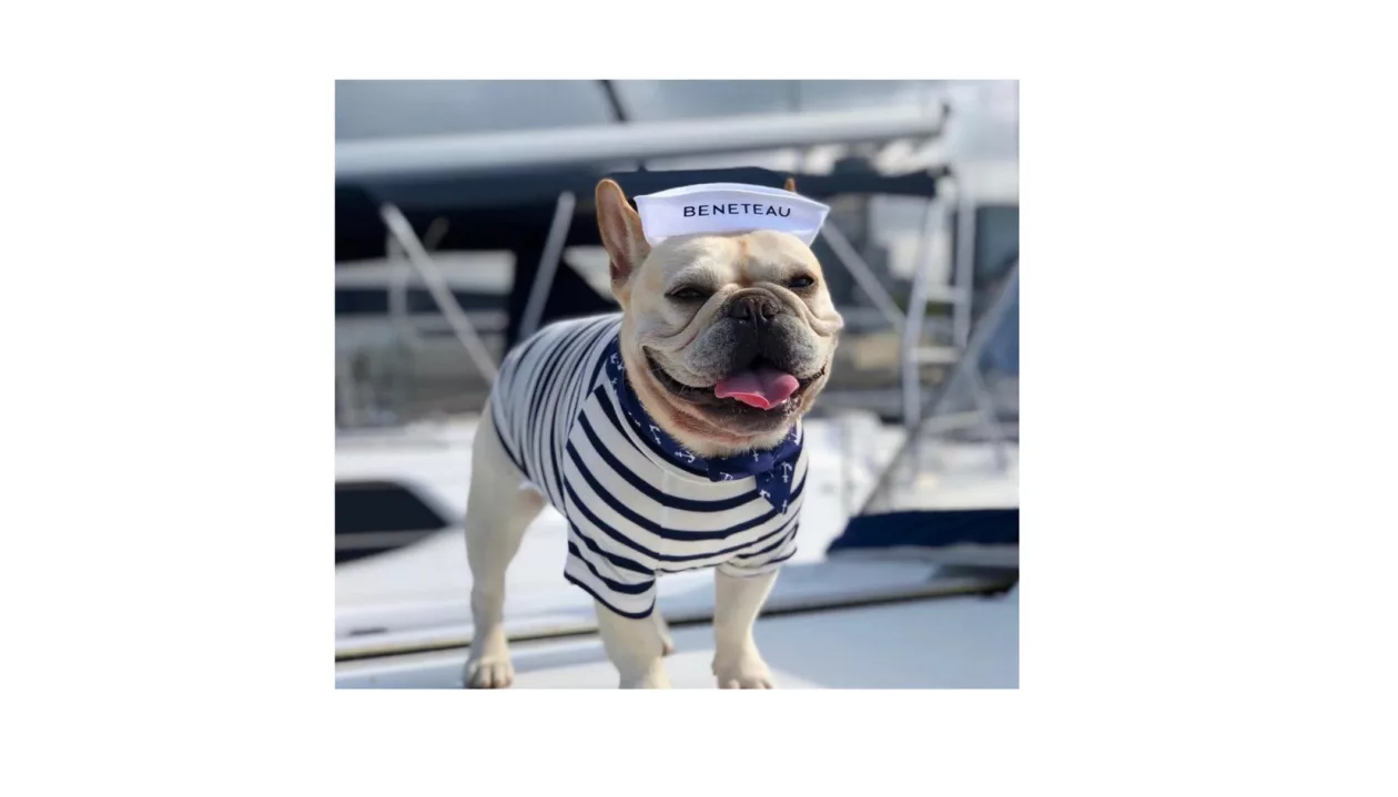 Beneteau 1
