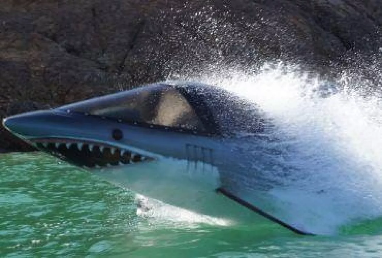 Sea Brecher6