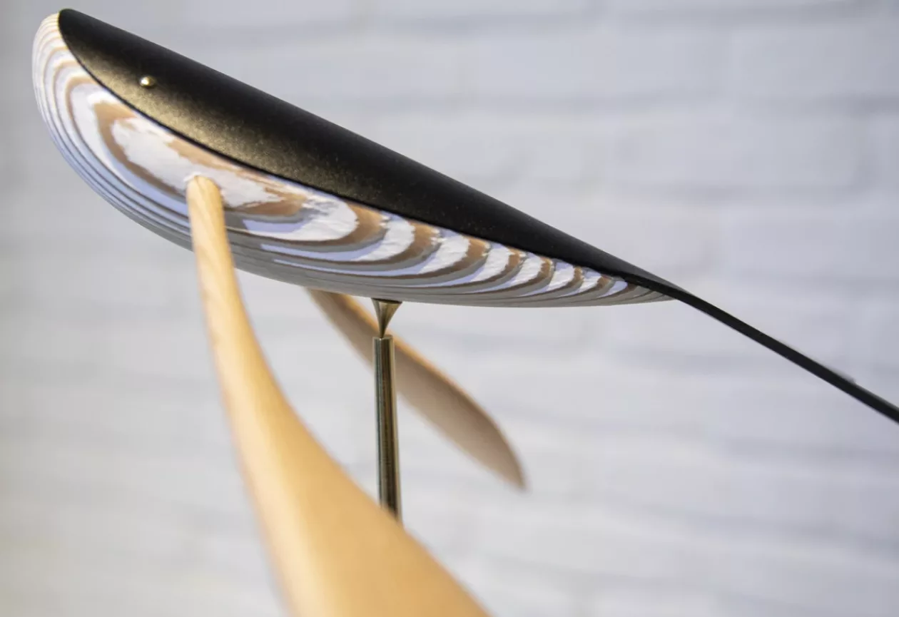 FLYING WHALE 3
