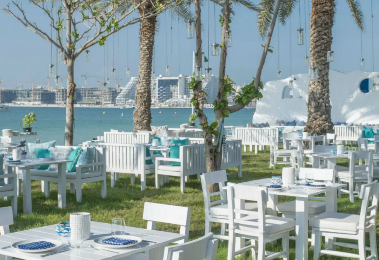 Fish Dubai 3