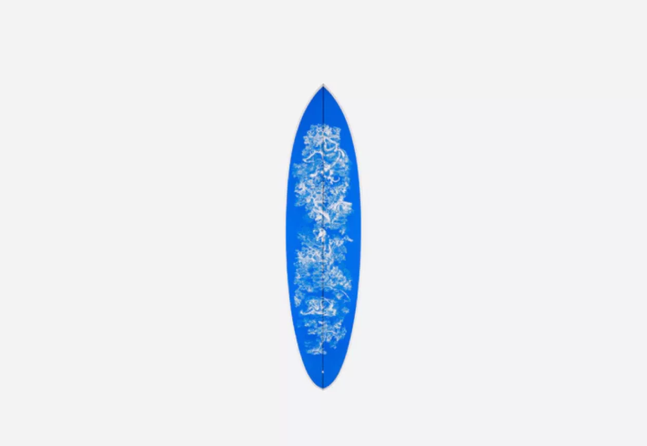 DIOR SURFBOARD 1