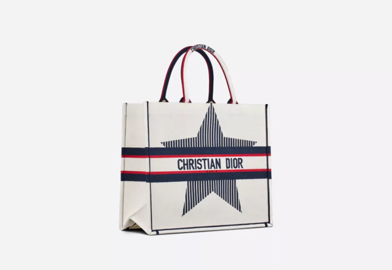 LARGE DIORALPS DIOR BOOK TOTE 2