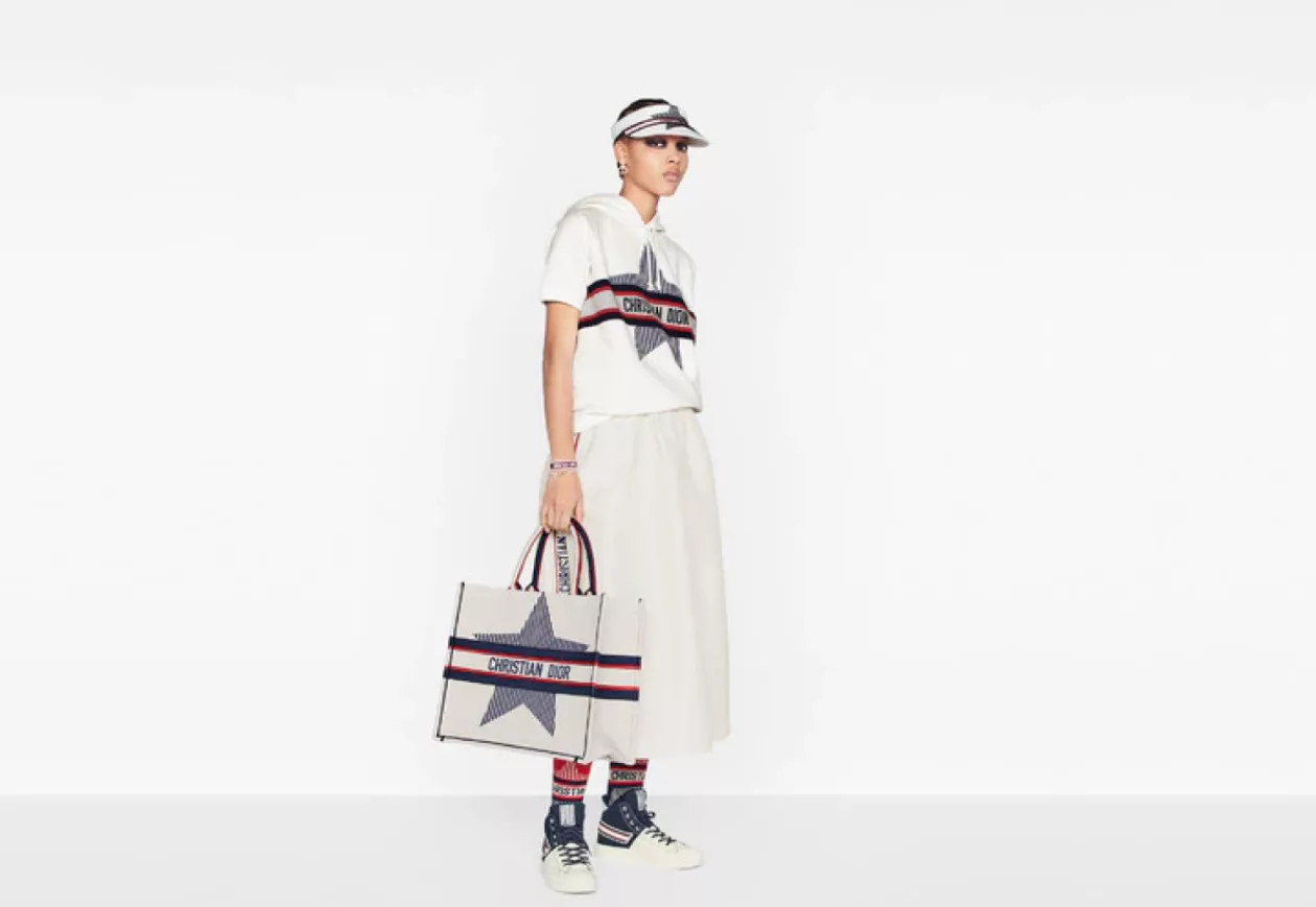LARGE DIORALPS DIOR BOOK TOTE 4